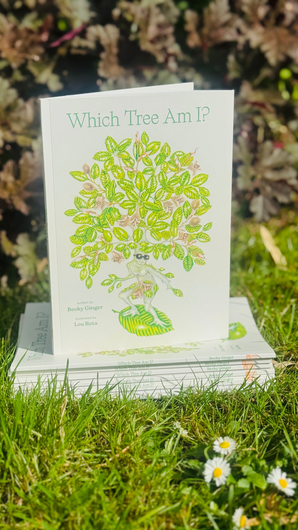 Which Tree Am I? – A Magical Guide to Tree Identification for All Ages