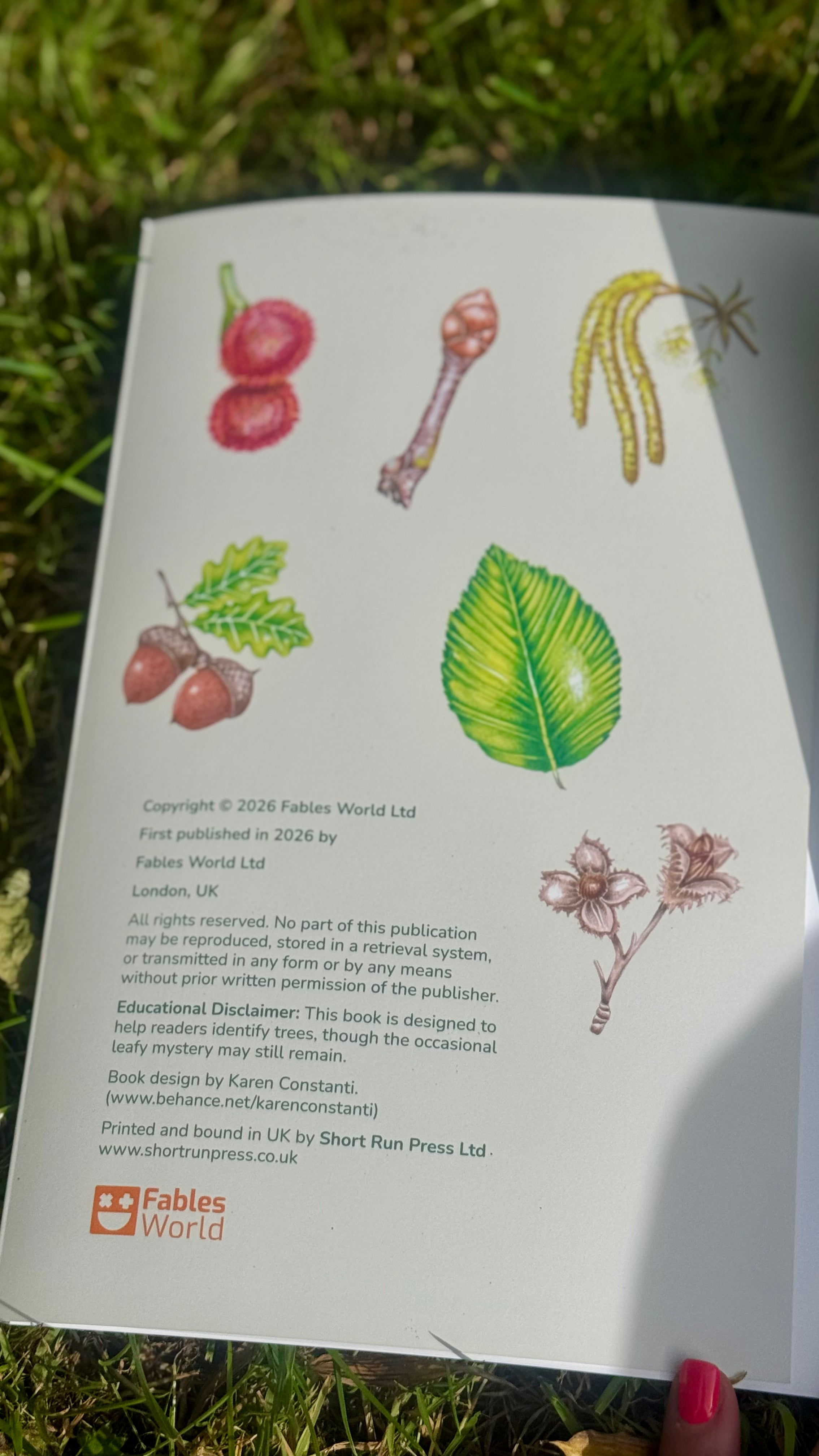 Which Tree Am I? – A Magical Guide to Tree Identification for All Ages