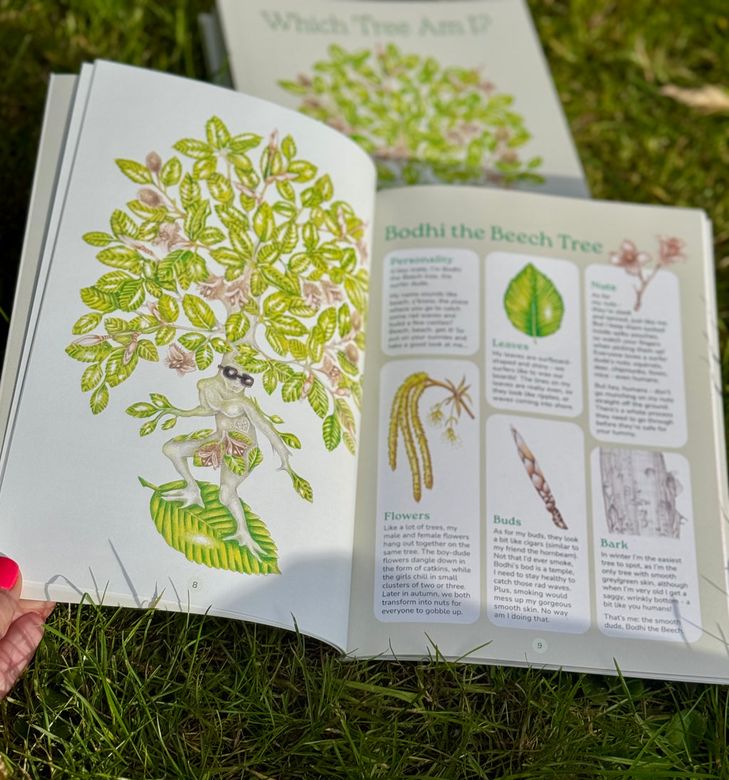 Which Tree Am I? – A Magical Guide to Tree Identification for All Ages