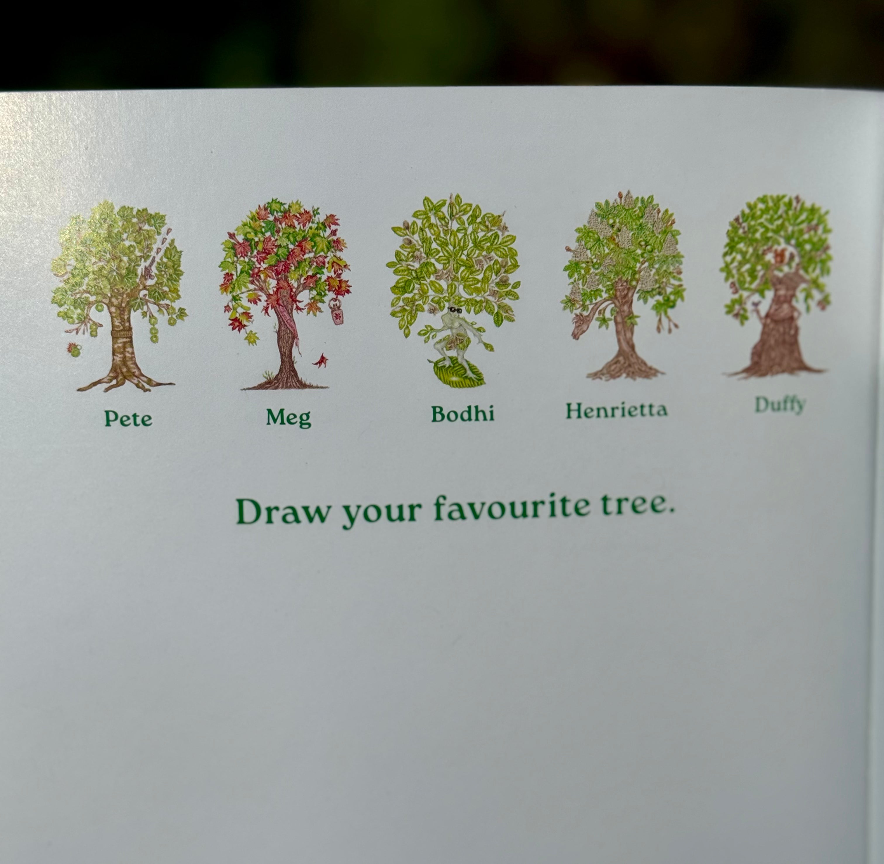 Which Tree Am I? – A Magical Guide to Tree Identification for All Ages